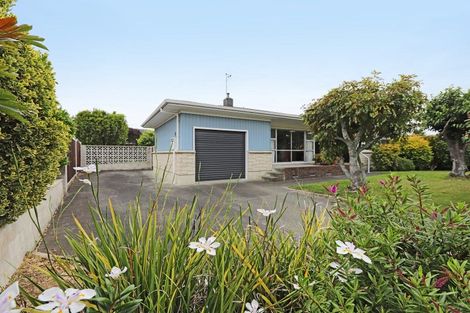 Photo of property in 345 Westminster Avenue, Tamatea, Napier, 4112