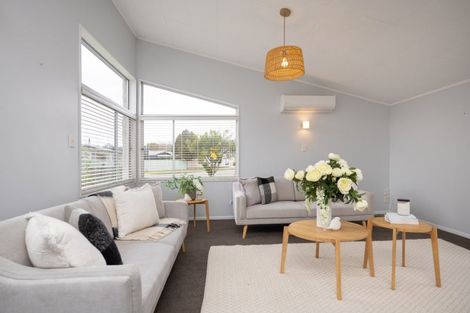 Photo of property in 147 Stanford Street North, Ashhurst, 4810