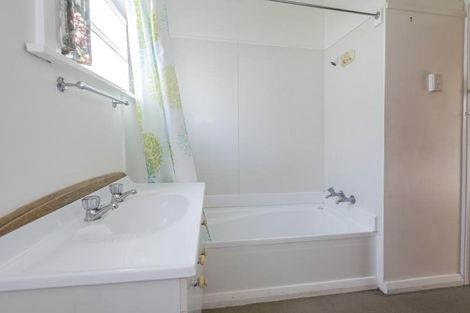 Photo of property in 96 Winchester Street, Levin, 5510