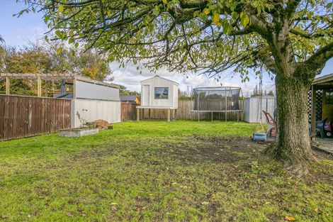 Photo of property in 116 Cockburn Street, Kuripuni, Masterton, 5810