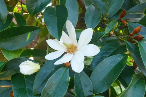 Photo of property in 44 Pencarrow Street, Highbury, Palmerston North, 4412