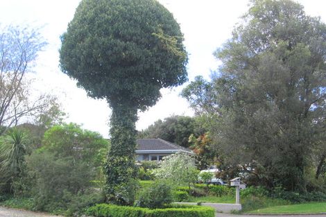 Photo of property in 54 Kaka Street, Taupo, 3330