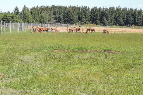 Photo of property in 80 Butlers Road, Fairlie, 7987