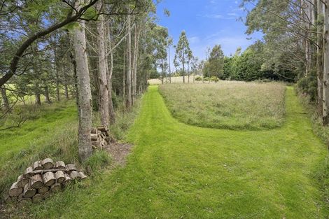 Photo of property in 845 Blueskin Road, Mount Cargill, Waitati, 9085