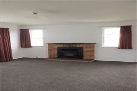 Photo of property in 46 Duke Street, Levin, 5510