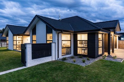 Photo of property in 21 Turnbull Drive, Witherlea, Blenheim, 7201