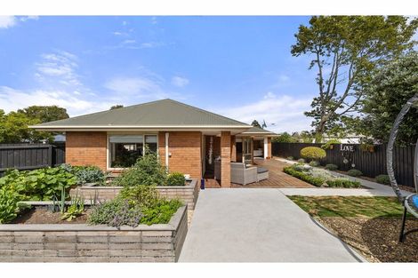 Photo of property in 3 Magnolia Lane, St Albans, Christchurch, 8052