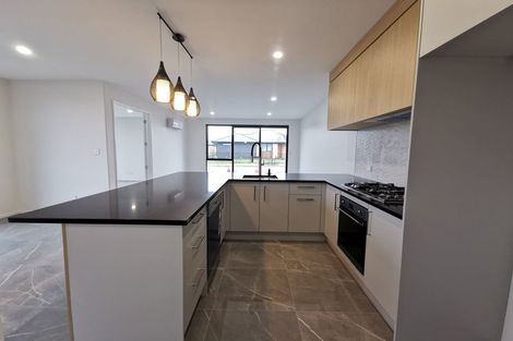 Photo of property in 1 Dianthus Place, Wigram, Christchurch, 8025