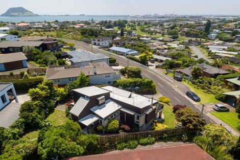 Photo of property in 65 Hinewa Road, Otumoetai, Tauranga, 3110