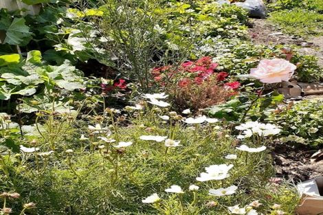 Photo of property in 18 Cornfoot Street, Castlecliff, Whanganui, 4501