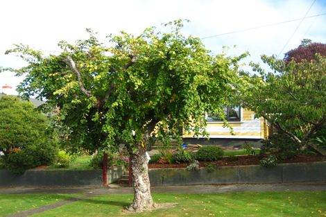 Photo of property in 32 Scoular Street, Maryhill, Dunedin, 9011