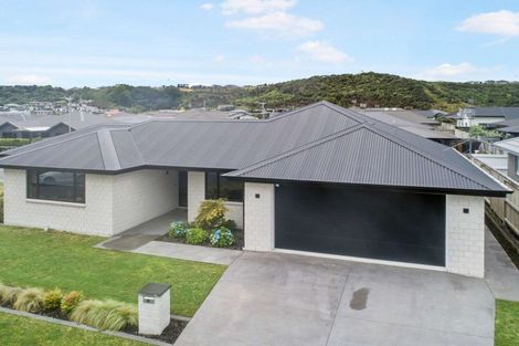 Photo of property in 2 Paiawa Way, Pyes Pa, Tauranga, 3110