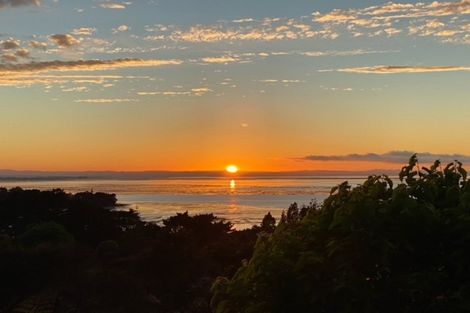 Photo of property in 38 Rauhuia Crescent, Parau, Auckland, 0604