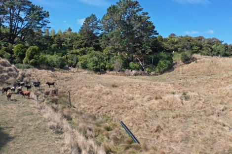 Photo of property in 1017 Waingaro Road, Glen Massey, 3793