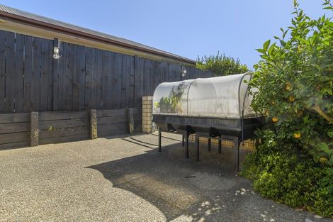 Photo of property in 43 Albero Drive, Ohauiti, Tauranga, 3112