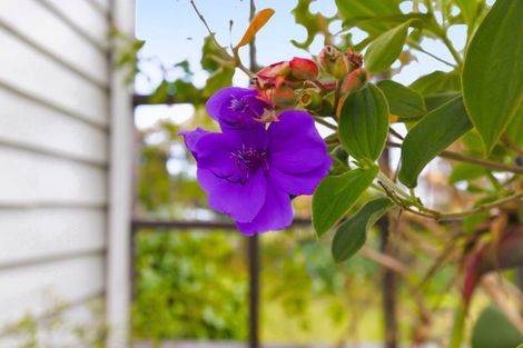 Photo of property in 75 Liverpool Street, Levin, 5510