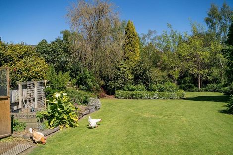 Photo of property in 35 Konini Street, Lansdowne, Masterton, 5810