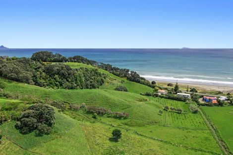 Photo of property in 59 Pohutukawa Drive, Waiotahe, Opotiki, 3198