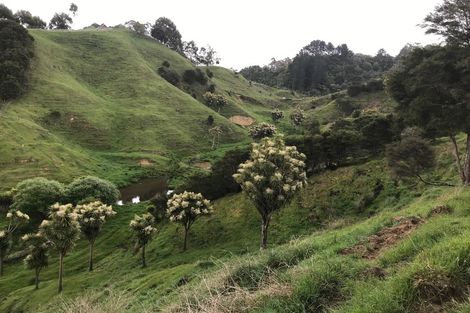 Photo of property in 763d White Pine Bush Road, White Pine Bush, Whakatane, 3191