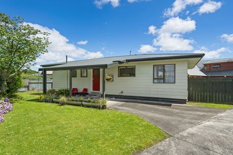 Photo of property in 21 Manson Street, Terrace End, Palmerston North, 4410