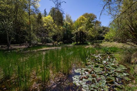 Photo of property in 401 Hamurana Road, Ngongotaha, Rotorua, 3097