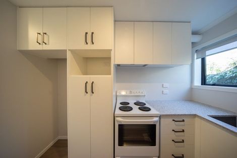 Photo of property in 11 Hammond Street, Hamilton Central, Hamilton, 3204