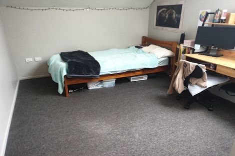 Photo of property in 13a Greensboro Street, Hamilton East, Hamilton, 3216