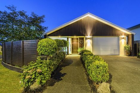 Photo of property in 4 Jacob Street, Brookfield, Tauranga, 3110
