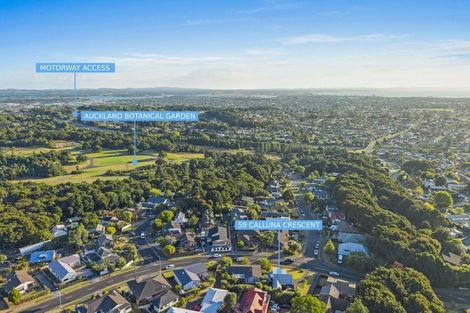 Photo of property in 59 Calluna Crescent, Totara Heights, Auckland, 2105
