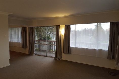 Photo of property in 133 Fitzroy Avenue, Fitzroy, Hamilton, 3206