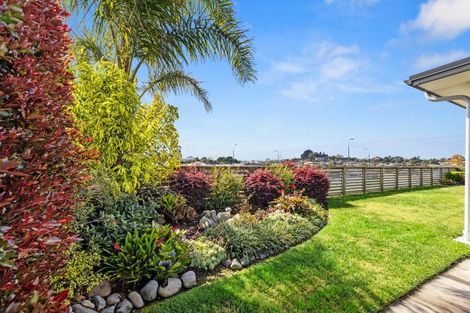 Photo of property in 6 Louise Drive, Ohauiti, Tauranga, 3112