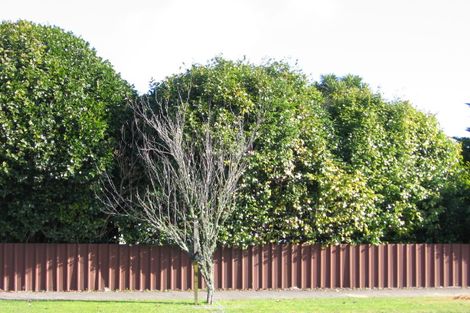 Photo of property in 2 Cureton Street, Morrinsville, 3300