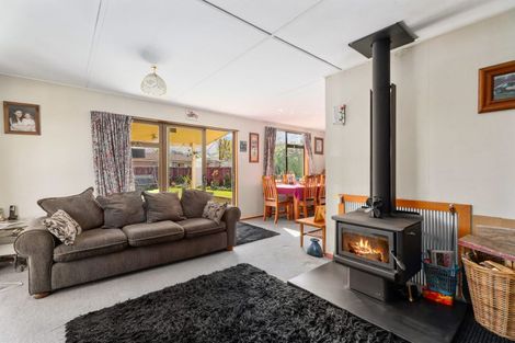 Photo of property in 46 Antimony Crescent, Cromwell, 9310