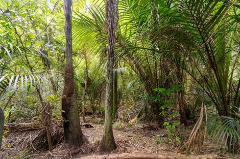 Photo of property in 62 Lamb Road, Parua Bay, Whangarei, 0174