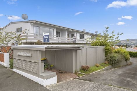 Photo of property in 19g Sheen Street, Roslyn, Dunedin, 9010