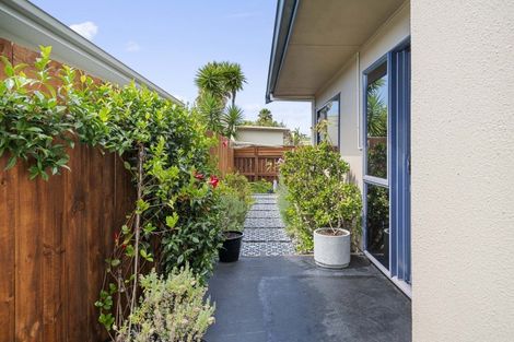 Photo of property in 91 Solomon Street, Brookfield, Tauranga, 3110