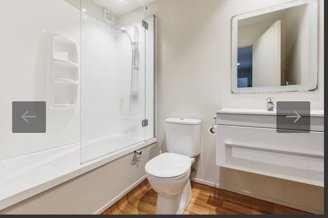 Photo of property in 3/17 Auburn Street, Grafton, Auckland, 1023