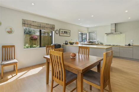 Photo of property in 393 Selwyn Street, Addington, Christchurch, 8024