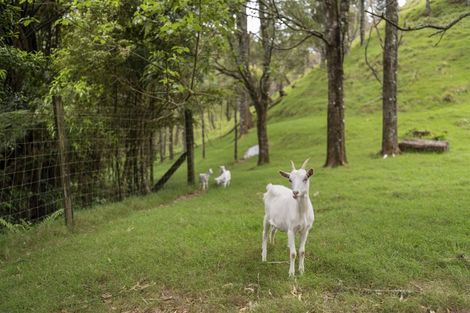 Photo of property in 52c Williams Road South, Pyes Pa, Tauranga, 3173