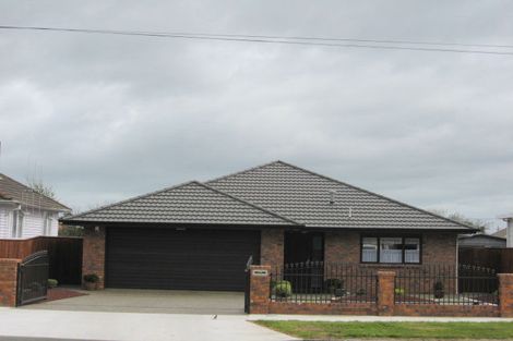 Photo of property in 49 Winchester Street, Levin, 5510