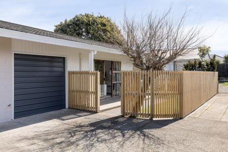 Photo of property in 35b Rimu Street, Gate Pa, Tauranga, 3112