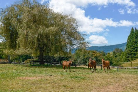 Photo of property in 172 Dalbeth Road, Hamurana, Rotorua, 3072