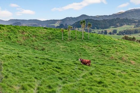 Photo of property in 89 Brown Road, Hakaru, Kaiwaka, 0573