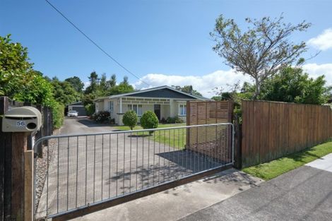 Photo of property in 56 Celia Street, Stratford, 4332