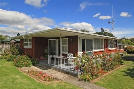 Photo of property in 5a Goods Road, Otumoetai, Tauranga, 3110