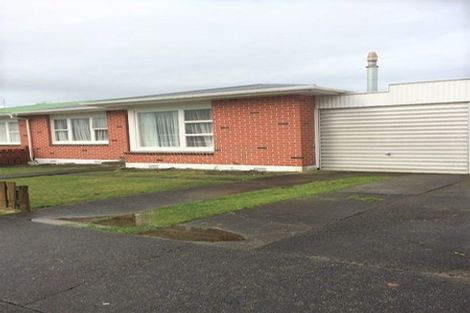 Photo of property in 56 Winchester Street, Levin, 5510