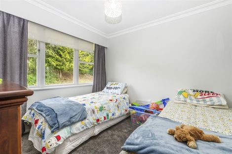 Photo of property in 4201 State Highway 1, Tokoroa, 3491