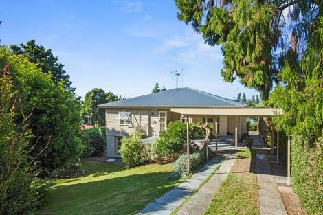 Photo of property in 13 Norrie Place, Putaruru, 3411