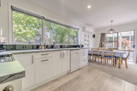 Photo of property in 56 Hazelwood Avenue, Dinsdale, Hamilton, 3204