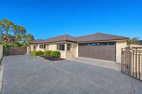 Photo of property in 168 Barrington Street, Somerfield, Christchurch, 8024
